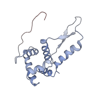 7289_6bu8_G_v1-3
70S ribosome with S1 domains 1 and 2 (Class 1)