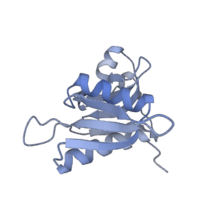 7289_6bu8_H_v1-3
70S ribosome with S1 domains 1 and 2 (Class 1)