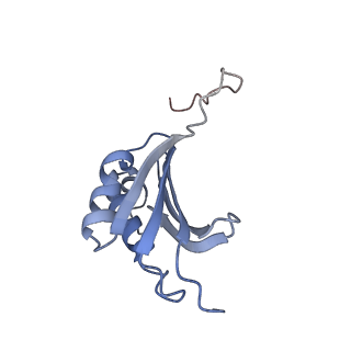 7289_6bu8_K_v1-3
70S ribosome with S1 domains 1 and 2 (Class 1)