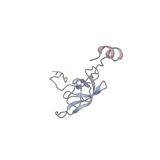 7289_6bu8_L_v1-3
70S ribosome with S1 domains 1 and 2 (Class 1)