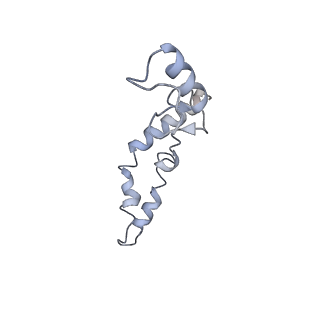 7289_6bu8_N_v1-3
70S ribosome with S1 domains 1 and 2 (Class 1)