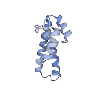 7289_6bu8_O_v1-3
70S ribosome with S1 domains 1 and 2 (Class 1)
