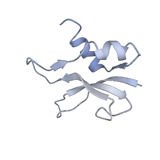 7289_6bu8_P_v1-3
70S ribosome with S1 domains 1 and 2 (Class 1)