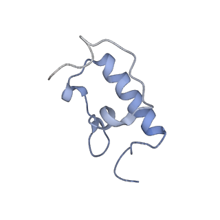 7289_6bu8_R_v1-3
70S ribosome with S1 domains 1 and 2 (Class 1)