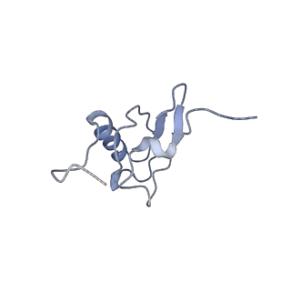7289_6bu8_S_v1-3
70S ribosome with S1 domains 1 and 2 (Class 1)