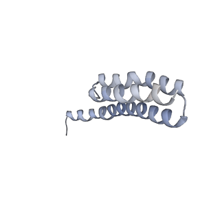 7289_6bu8_T_v1-3
70S ribosome with S1 domains 1 and 2 (Class 1)