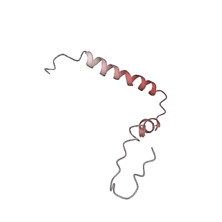 7289_6bu8_U_v1-3
70S ribosome with S1 domains 1 and 2 (Class 1)