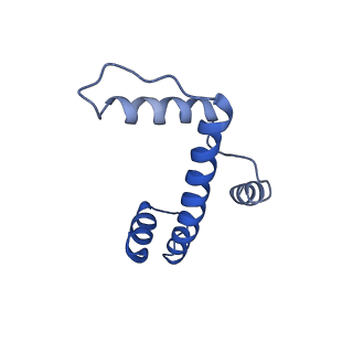 7293_6buz_A_v1-4
Cryo-EM structure of CENP-A nucleosome in complex with kinetochore protein CENP-N