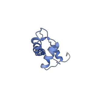 7293_6buz_B_v1-3
Cryo-EM structure of CENP-A nucleosome in complex with kinetochore protein CENP-N