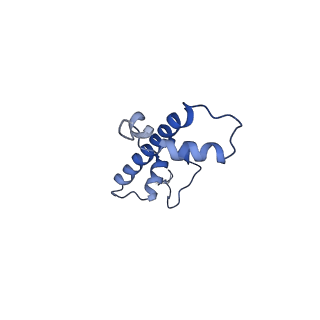 7293_6buz_C_v1-3
Cryo-EM structure of CENP-A nucleosome in complex with kinetochore protein CENP-N