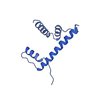 7293_6buz_D_v1-3
Cryo-EM structure of CENP-A nucleosome in complex with kinetochore protein CENP-N
