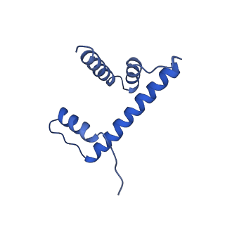 7293_6buz_D_v1-4
Cryo-EM structure of CENP-A nucleosome in complex with kinetochore protein CENP-N