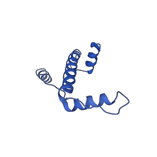 7293_6buz_E_v1-3
Cryo-EM structure of CENP-A nucleosome in complex with kinetochore protein CENP-N