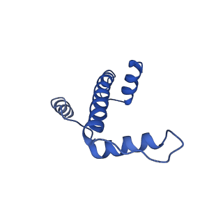 7293_6buz_E_v1-4
Cryo-EM structure of CENP-A nucleosome in complex with kinetochore protein CENP-N