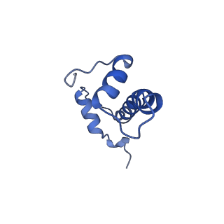 7293_6buz_F_v1-3
Cryo-EM structure of CENP-A nucleosome in complex with kinetochore protein CENP-N