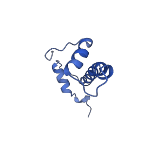 7293_6buz_F_v1-4
Cryo-EM structure of CENP-A nucleosome in complex with kinetochore protein CENP-N