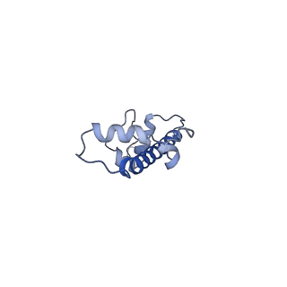 7293_6buz_G_v1-3
Cryo-EM structure of CENP-A nucleosome in complex with kinetochore protein CENP-N