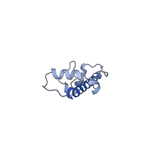 7293_6buz_G_v1-4
Cryo-EM structure of CENP-A nucleosome in complex with kinetochore protein CENP-N