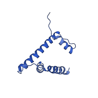 7293_6buz_H_v1-3
Cryo-EM structure of CENP-A nucleosome in complex with kinetochore protein CENP-N