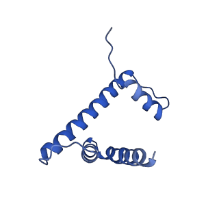 7293_6buz_H_v1-4
Cryo-EM structure of CENP-A nucleosome in complex with kinetochore protein CENP-N