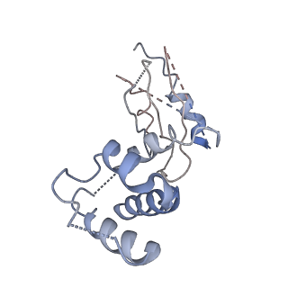 7293_6buz_N_v1-3
Cryo-EM structure of CENP-A nucleosome in complex with kinetochore protein CENP-N