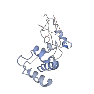 7293_6buz_N_v1-4
Cryo-EM structure of CENP-A nucleosome in complex with kinetochore protein CENP-N