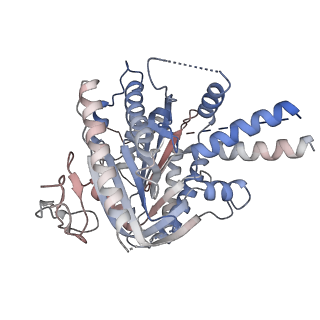 16255_8bv5_A_v1-0
Focus refinement of soluble domain of Adenylyl cyclase 8 bound to stimulatory G protein, Forskolin, ATPalphaS, and Ca2+/Calmodulin in lipid nanodisc conditions