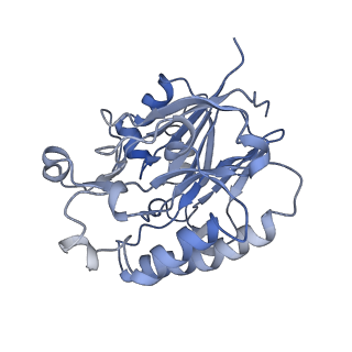 16264_8bvh_B_v1-0
Cryo-EM structure of the Hfq-Crc-amiE translation repression assembly.