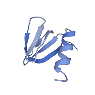 16264_8bvh_C_v1-0
Cryo-EM structure of the Hfq-Crc-amiE translation repression assembly.