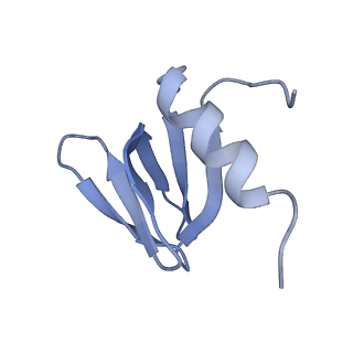 16264_8bvh_D_v1-0
Cryo-EM structure of the Hfq-Crc-amiE translation repression assembly.