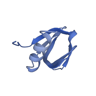 16264_8bvh_F_v1-0
Cryo-EM structure of the Hfq-Crc-amiE translation repression assembly.