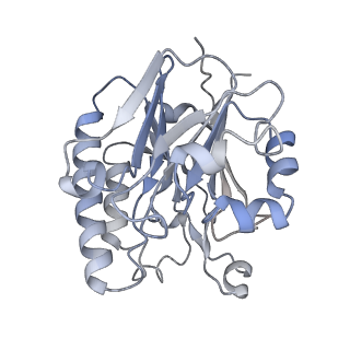 16264_8bvh_G_v1-0
Cryo-EM structure of the Hfq-Crc-amiE translation repression assembly.