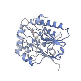 16264_8bvh_H_v1-0
Cryo-EM structure of the Hfq-Crc-amiE translation repression assembly.