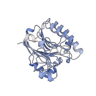 16264_8bvh_I_v1-0
Cryo-EM structure of the Hfq-Crc-amiE translation repression assembly.
