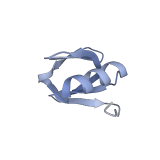 16264_8bvh_J_v1-0
Cryo-EM structure of the Hfq-Crc-amiE translation repression assembly.