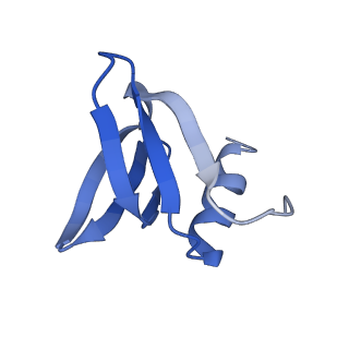 16264_8bvh_K_v1-0
Cryo-EM structure of the Hfq-Crc-amiE translation repression assembly.