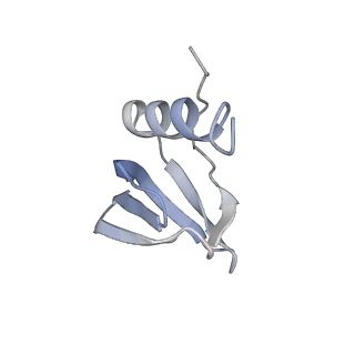 16264_8bvh_N_v1-0
Cryo-EM structure of the Hfq-Crc-amiE translation repression assembly.