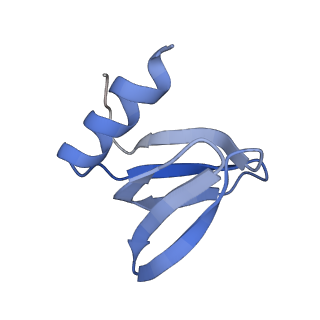 16264_8bvh_P_v1-0
Cryo-EM structure of the Hfq-Crc-amiE translation repression assembly.