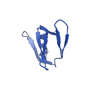 16264_8bvh_Q_v1-0
Cryo-EM structure of the Hfq-Crc-amiE translation repression assembly.