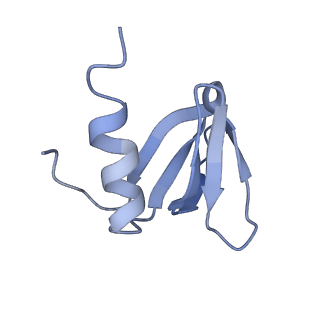 16264_8bvh_R_v1-0
Cryo-EM structure of the Hfq-Crc-amiE translation repression assembly.