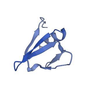 16264_8bvh_S_v1-0
Cryo-EM structure of the Hfq-Crc-amiE translation repression assembly.