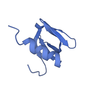 16264_8bvh_T_v1-0
Cryo-EM structure of the Hfq-Crc-amiE translation repression assembly.