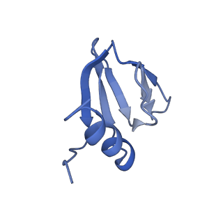16264_8bvh_w_v1-0
Cryo-EM structure of the Hfq-Crc-amiE translation repression assembly.