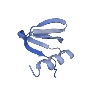16264_8bvh_x_v1-0
Cryo-EM structure of the Hfq-Crc-amiE translation repression assembly.