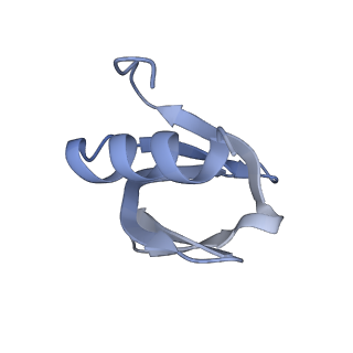 16266_8bvm_K_v1-1
Cryo-EM structure of Hfq-Crc-rbsB translation repression complex