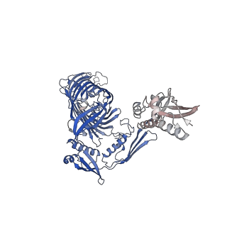 16268_8bvq_A_v1-2
E. coli BAM complex (BamABCDE) bound to darobactin B