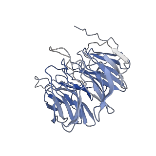 16268_8bvq_B_v1-2
E. coli BAM complex (BamABCDE) bound to darobactin B