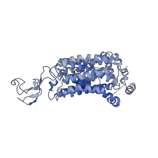 16269_8bvr_A_v1-2
Cryo-EM structure of rat SLC22A6 in the apo state