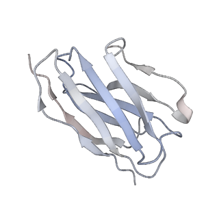 16269_8bvr_B_v1-2
Cryo-EM structure of rat SLC22A6 in the apo state