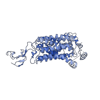 16270_8bvs_A_v1-2
Cryo-EM structure of rat SLC22A6 bound to tenofovir